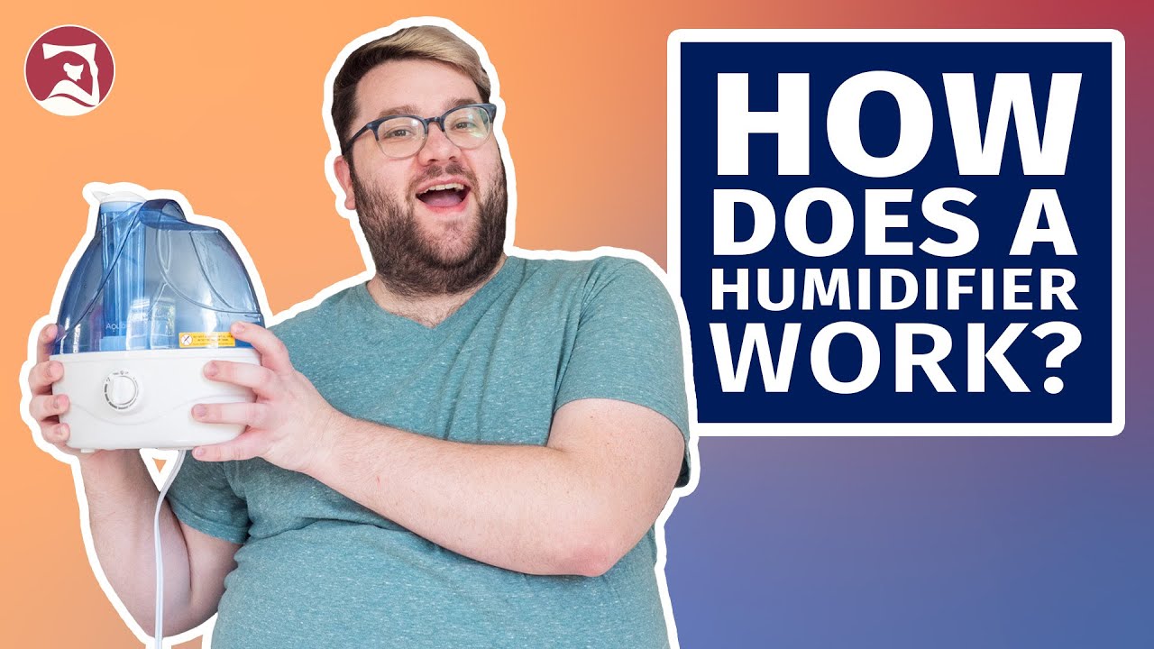 How Does a Humidifier Work?